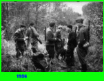 1956 - Strwiyk za gr
