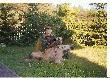 polowania
�aciaty dziczek strzelony latem 2006