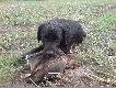 P�niej jeszcze by�o par� w��czek, kolejnych aport�w... Sama przyjemno��.