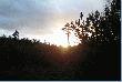 S�o�ce coraz ni�ej co zapowiada rych�y koniec polowania