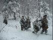M�j pierwszy byk i od razu Grand Prix 2006 w �owcu Polskim - ale dla kolegi za zdj�cie. �owisko Bartne pow. gorlicki (fot.J.M)