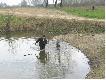 Pr�by i Field Trialsy w Krakowie 2004
Mo�e te par� zdj�� zach�ci kogo� do startu na jesiennych konkursach w Krakowie Spytkowicach.
Anka