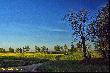 Ci�g dalszy wiosennej "Drogi do . . . " To jest droga do D�br�wki. 