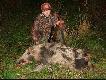 x
pierwszy dziczek w tym sezonie........,,,,,,,,,pierwszy odszukany przez mojego jagdteriera......
