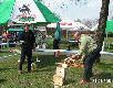 W konkursie w  r�banie  klock�w