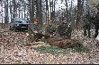 obok kr�la dwaj wice kr�lowie Przemek i GC Odyniec