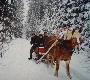 W nadchodz�cym tygodniu podobno wraca zima