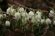 Wychod�cie bracia i siostry, co� si� dzieje na �wiecie! 