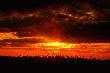 
...w s�oneczne promienie wtopieni, w sobie zas�uchani,czerwie� w nich ciep�em  rozb�ys�a...bo s� zakochani....