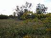 Obw�d �owiecki nr 27 - Naroczyce
Uroki naroczyckiego obwodu