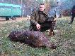 Hubertus w  WK� Orze� w �winouj�ciu
Dnia 07.11.2009 odby�o si� polowanie Hubertowskie WK� Orze� z �winouj�cia. By�o to moje pierwsze polowanie Hubertowskie. �wi�ty Hubert by� dla mnie bardzo �askaw i obdarowa� mnie pierwszym!! dzikiem w �yciu i lisem. Jednocze�nie zosta�em Vice Kr�lem polowania. Kr�lem zosta� Kolega Marian, kt�ry strzeli� 2 dziki i koz�. Na pokocie znalaz�o si� 8 dzik�w, koza i 2 lisy. Darz b�r!!