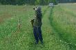 W�a�nie ogl�damy koz�a z koz� na owsie.