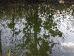 Zalew O�awy - Tereny Wodono�ne; obw�d �owiecki nr 82