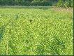 Okolice ambony ciech�owickiej - obw�d �owiecki nr 27