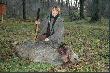 Kr�lowa i jej dzik-pierwszy w �yciu !! I to strzelony precyzyjnie "za ucho" w pe�nym biegu.