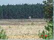 Ambona Dondra - Naroczyce, obw�d �owiecki nr 27