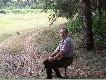 W tle topinambur... Na tej ��ce te� ju� par� dzik�w i koz�ow Hubert zdarzy�...