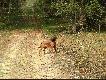 11 miesi�c, nauk� czas zacz��