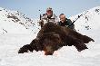 Nied�wied� waga ok.550kg.