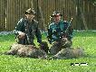 Pechowy b�d� szcze�liwy 13-stego. Wieczorne polowanie w s�siednim kole "Dzik".