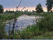 Kana�y obro�ni�te trzcinnikiem stanowi� naturalne schronienie dla ptactwa wodnego