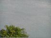 Niestety, ale one by�y bardziej czujne i przed podej�ciem do kana�u zd��y�y poderwa� si�
