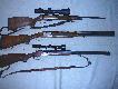 Bro�
od g�ry:
1. CZ 527 Ebony Edition .223 Rem + Weaver Extreme 2,5-10x56
2. Beretta 686 E Sporting 12/76
3. Dryling Fortuna Suhl 7x65R, 2x16/70 + Revue 3-9x40
4. CZ 550 LUX 8x57IS + Weaver Extreme 2,5-10x56