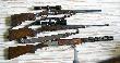 Moja bro�
Moja bro�. Od g�ry: 
1.Dryling Sauer&Sohn 8x57 IRS, 16/70, luneta KAHLES CSX 2,5-10x50,
2. Mannlicher Classic .308W, luneta ZEISS Victory Varipoint 3-12x56
3. Bettinsoli Diamond de lux 12/76  