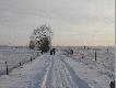 Od�owy zaj�cy
Od�owy zaj�cy w Kole �owieckim "Trop" w styczniu 2004
