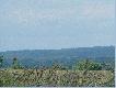 Maryd�
S� to zdj�cia zrobione w okolicach wsi Maryd� w woj. wielkopolskim.