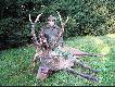 Poro�e jak na pierwsze to jest okaza�e, strzelony w dniu 24-09-2005 o godzinie 6,00 waga byka 127, w skupie.