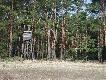Troch� stara ale jara