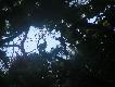 m�ode orle 