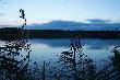 Olb�ymie stawy hodowalne gdzie by�o setki kaczek...