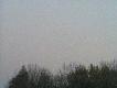 A g�si lec� i lec�......