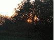 S�oneczko wschodzi i b�dzie mo�e cieplej. Rano by� przymrozek