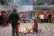 Wsp�lne biesiadowanie