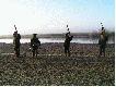 Ostatnia wsp�lna salwa do klucza g�si - nic nie spad�o