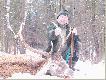 Kr�l sobotniego polowania Kol. Marian
Waga tuszy 150 kg. wie�ca ok 4 kg.
Na tym polowaniu pad� jeszcze jeden byk,ciele i koza.