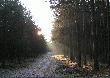 Widok na praw� stron� ze zwy�ki, na kt�rej przypad�o mi, w pierwszym p�dzeniu, sp�dzi� 2 godziny