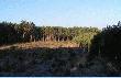 Widok z ambony - w drugim p�dzeniu