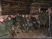 Ze wzgl�du na bardzo silny wiatr prowadz�cy zarz�dzi�, �e odprawa b�dzie w Wigwamie.