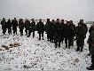 20 strzelb 7 szarak�w