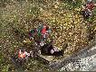 Podciagamy go do gory za pomoca motocykla, zeby moc go wlozyc na przyczepke.