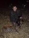 nocny dublecik  wyci�gni�ty ze  sporej watachy .troche ksi�yca sie pokaza�o i od razu lepiej . warchlak zosta� w ogniu (15kg)natomiast jego kompan po strzale na mi�knie umkn�� mi w krzaki i tam spisa� testament (kolejne zdj�cie 31 kg) . Przepraszam za jako�c zdj�c lecz zapomnia�em aparatu pozdrawiam Darz B�r!