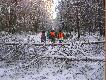 niespodzianki jakie spotkali�my na duktach le�nych po obfitych opadach �niegu