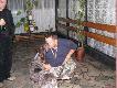 a pies Ci mord� liza�....