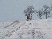 W trzecim, na flank� ucieka�o sporo zaj�cy. Pad�y z tej strony 2 sztuki. Na g�rce, w czasie d�ugiego miotu, wiatr solidnie da� si� we znaki my�liwym...