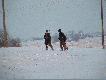 Po tego zaj�czka trzeba by�o i�� dobre 100 metr�w. Spacer cho� d�ugi to radosny!