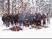 Pokot cho� marny to wszyscy szcz�liwi.Ko�czymy stary rok...